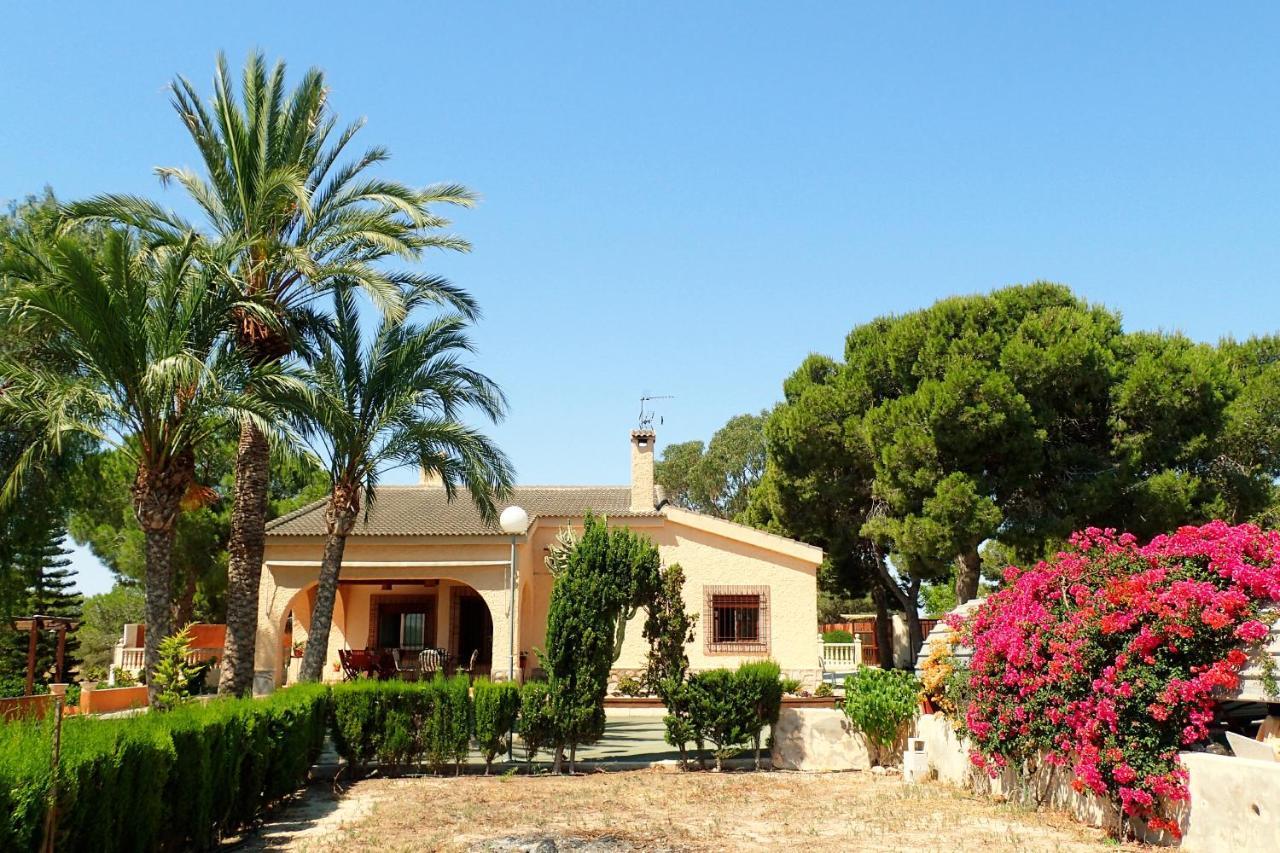 Villa Buganvilla Elche Exterior foto